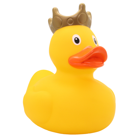 Swimming Duck 4