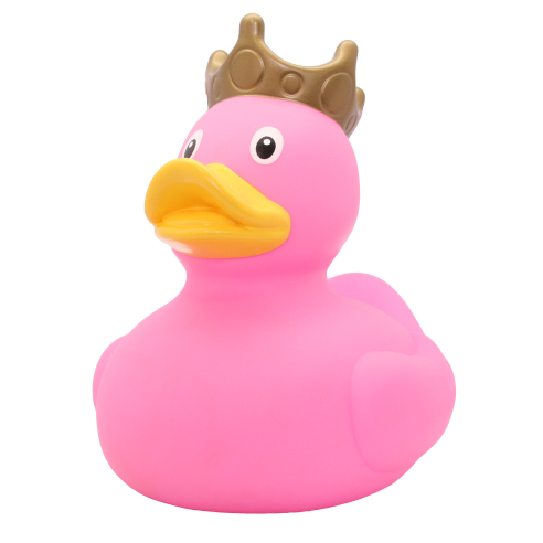 Swimming Duck 5